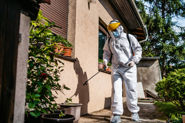 Best Termite Control Services  in Three Way, TN