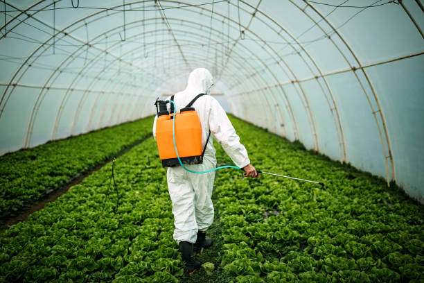 Best Pest Control Treatment  in Three Way, TN
