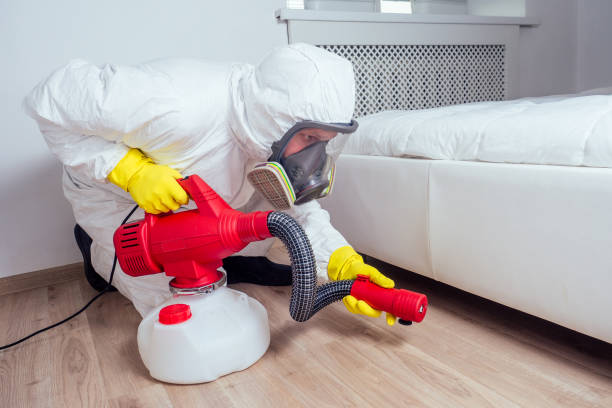Best Best Pest Control Companies  in Three Way, TN
