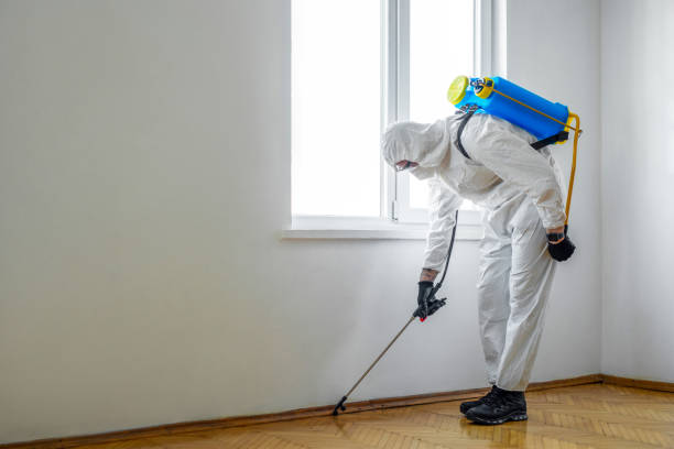 Best Rat Extermination Near Me  in Three Way, TN