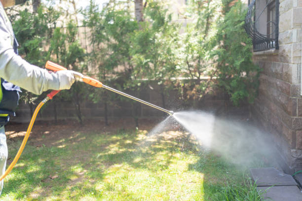 Best Mosquito Control Services  in Three Way, TN