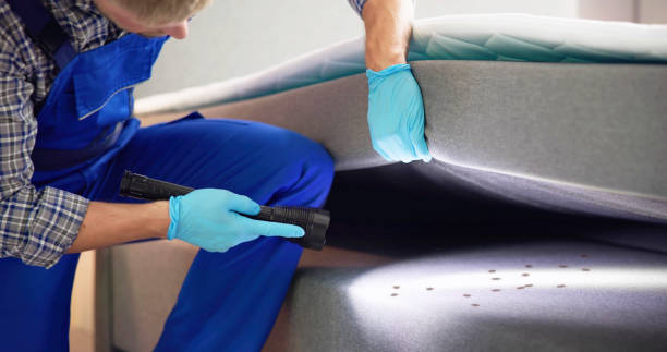 Best Ant Control Services  in Three Way, TN