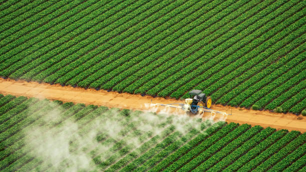 Best Commercial Pest Control Services  in Three Way, TN
