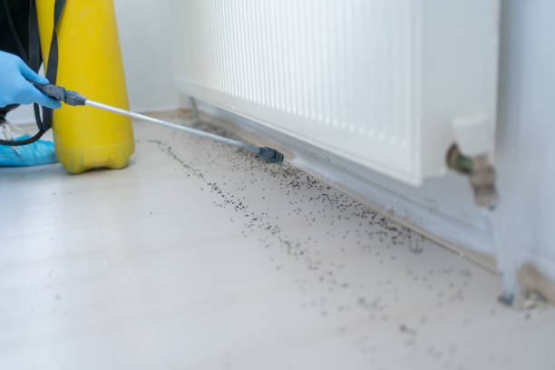 Best Pest Control for Businesses  in Three Way, TN